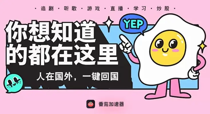 vpn 加速器指南