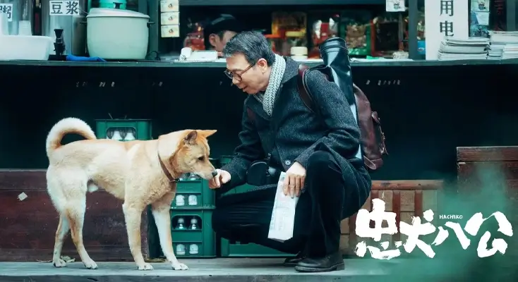 平安回家在国外网络异常怎么办指南